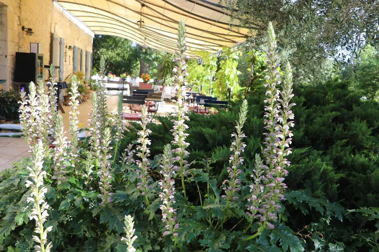 Bed & Breakfast Le Mas Des Cerisiers Jacuzzi Et Sauna Inclus Pour Tous Les Logements Avignon