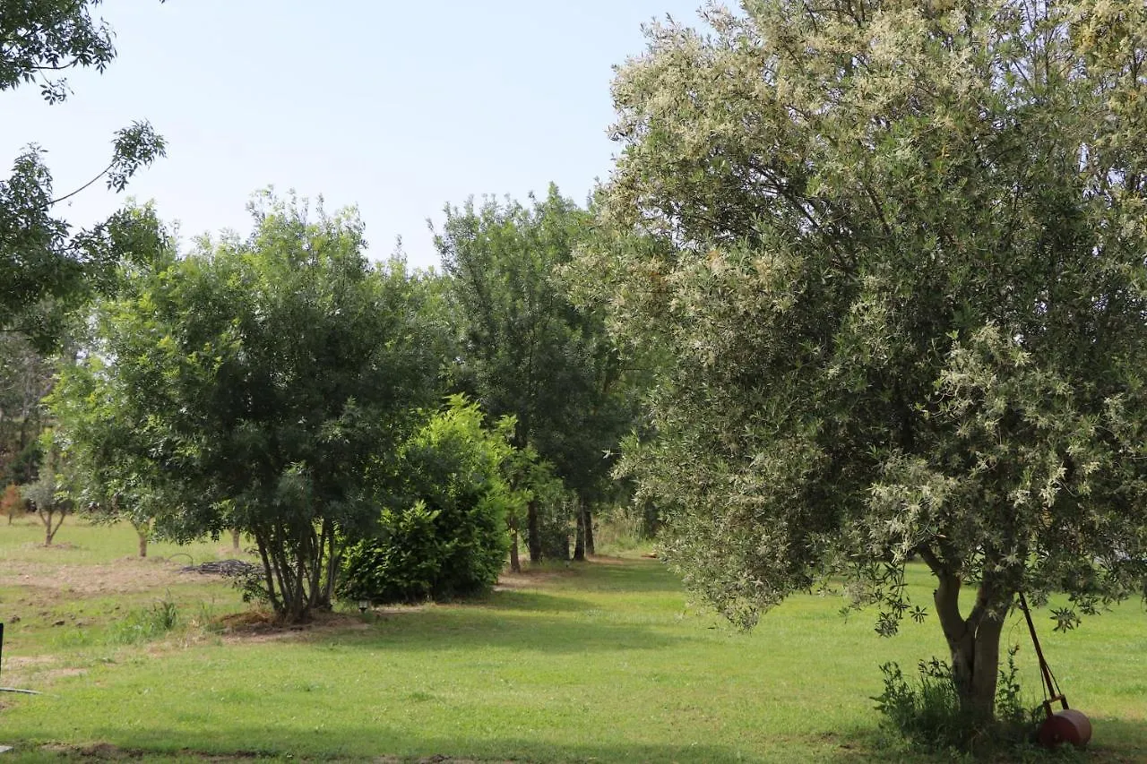 Frühstückspension Le Mas Des Cerisiers Jacuzzi Et Sauna Inclus Pour Tous Les Logements Avignon