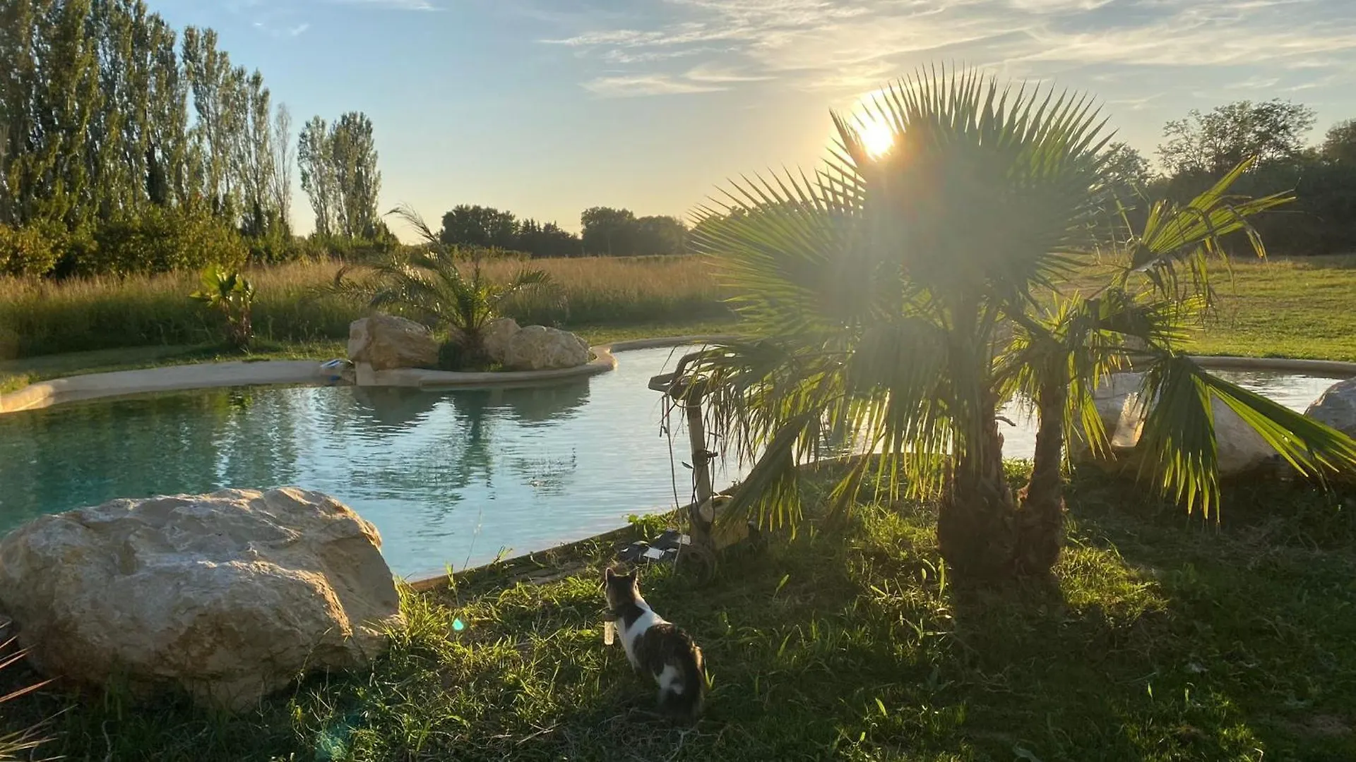 Frühstückspension Le Mas Des Cerisiers Jacuzzi Et Sauna Inclus Pour Tous Les Logements Avignon