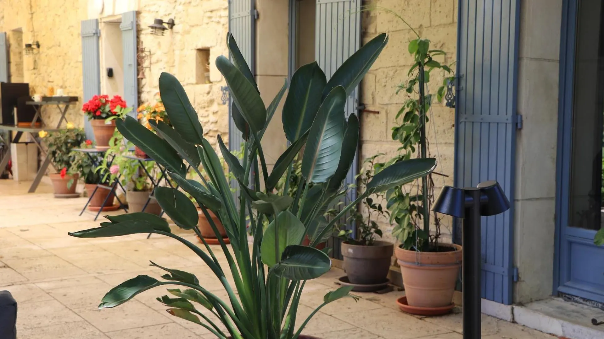 Le Mas Des Cerisiers Jacuzzi Et Sauna Inclus Pour Tous Les Logements Avignon Frühstückspension